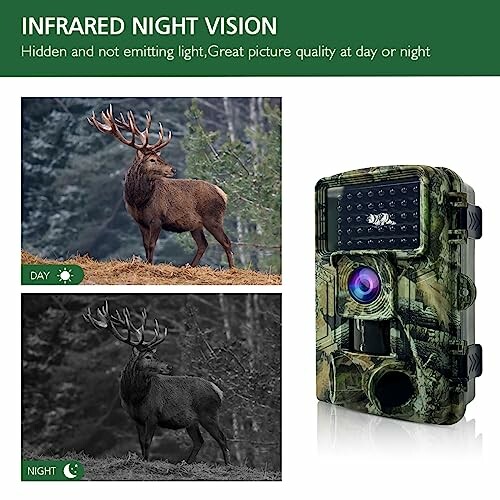 Infrared night vision camera with day and night images of a deer.